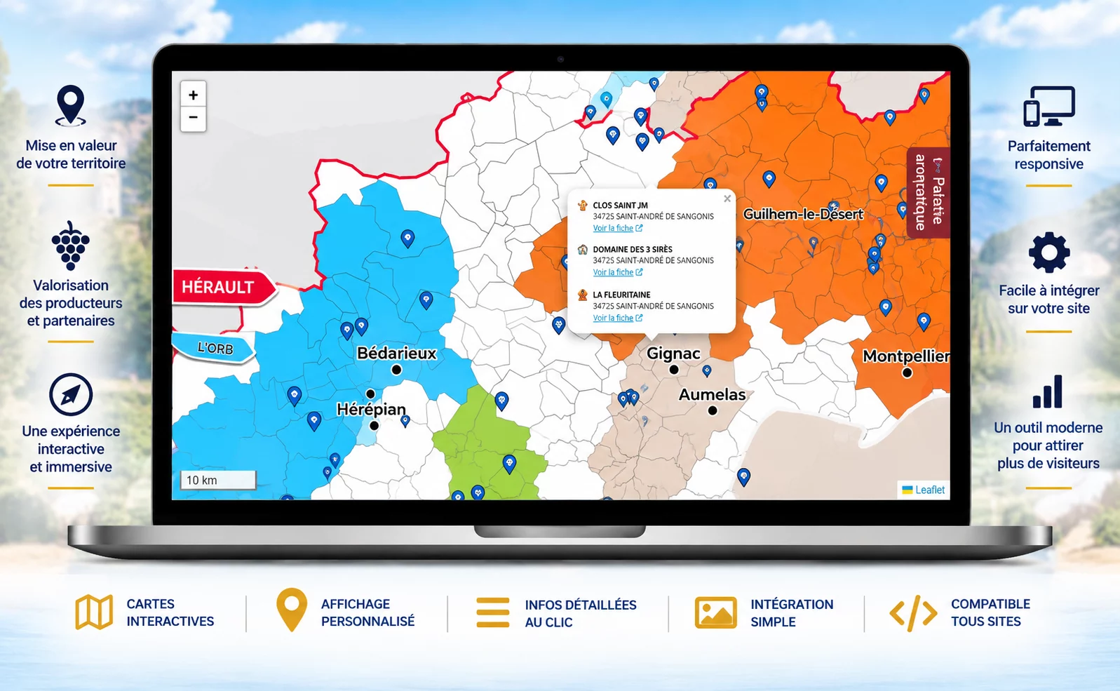 Carte interactive sur mesure pour site internet – Image 3